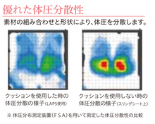 Load image into Gallery viewer, 鷹野拉普斯坐墊
